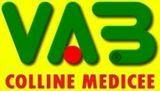 VAB Colline medicee