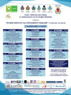 mese affido